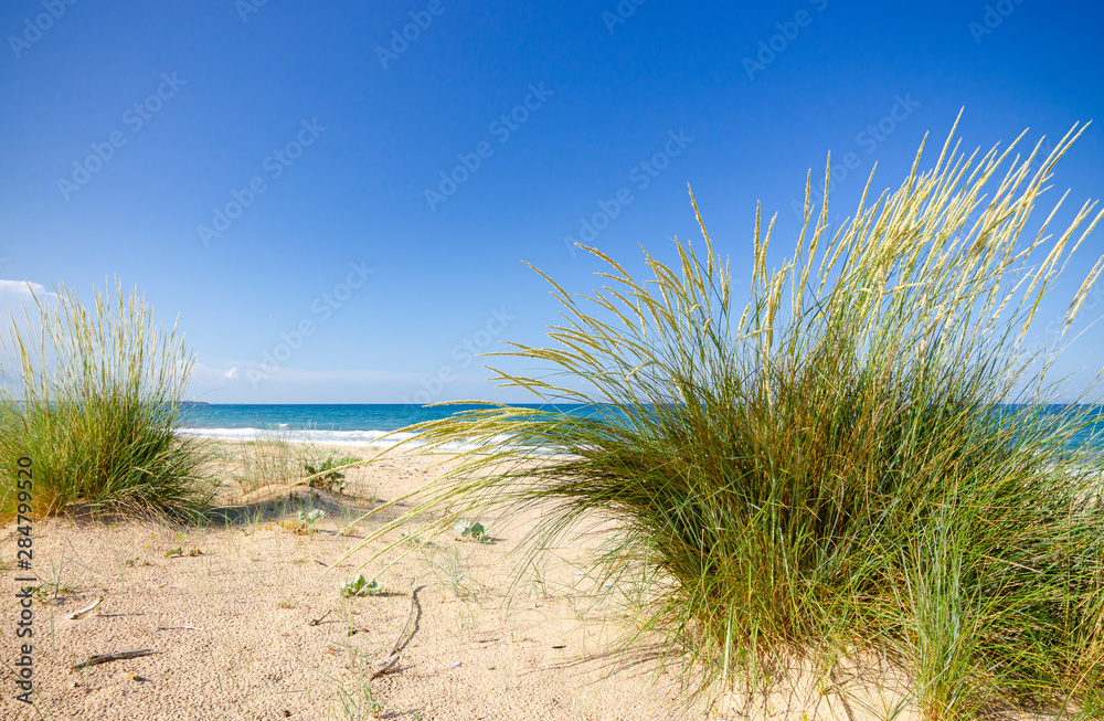 Sunny wild beach in Krapets, Bulgaria Sunny wild beach in Krapets, Bulgaria