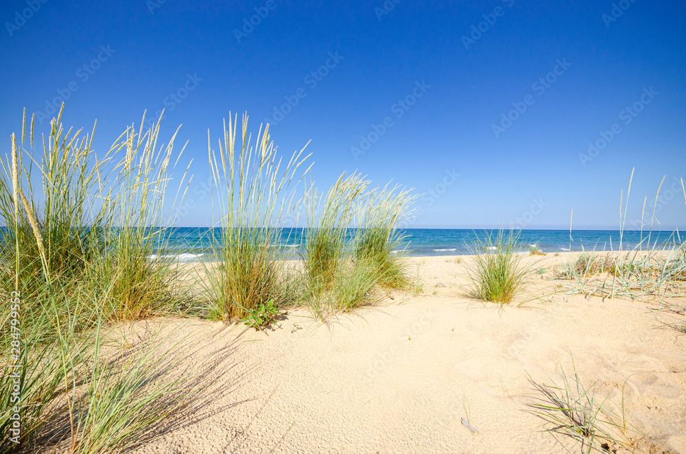 Sunny wild beach in Krapets, Bulgaria Sunny wild beach in Krapets, Bulgaria
