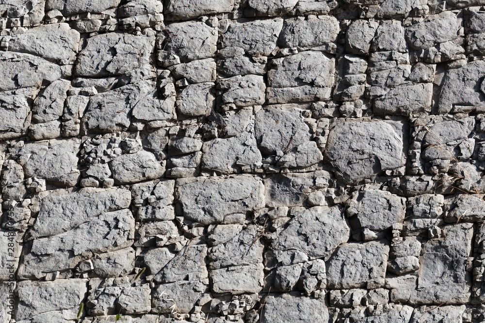The surface of a nodular limestone The surface of a nodular limestone
