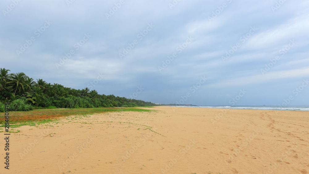 Wild tropical beach and ocean in Sri Lanka Wild tropical beach and ocean in Sri Lanka