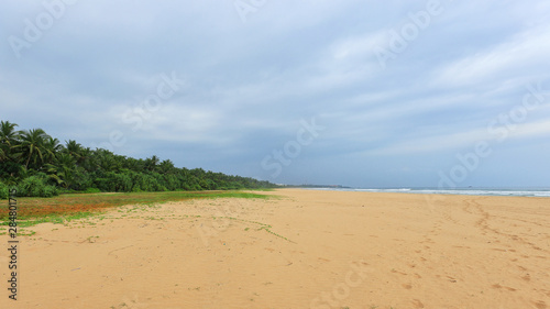 Fototapeta Naklejka Na Ścianę i Meble -  Wild tropical beach and ocean in Sri Lanka