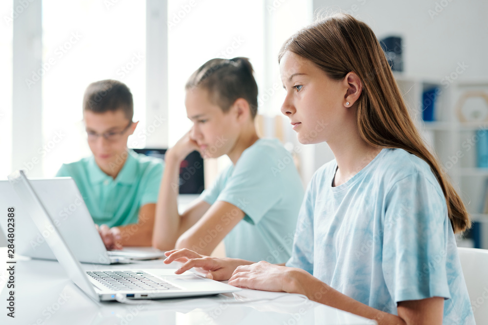 Pretty girl using laptop on background of her classmates Pretty girl using laptop on background of her classmates