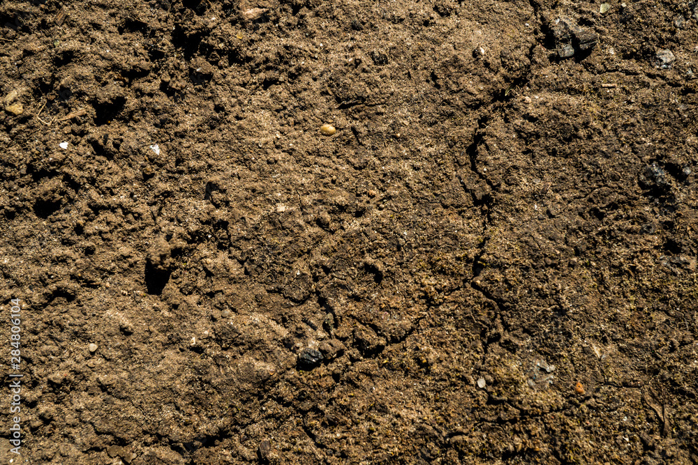 The texture of the earth The texture of the earth