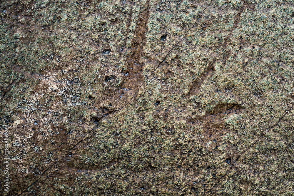 The texture of the stone overgrown with moss. Background image of a boulder The texture of the stone overgrown with moss. Background image of a boulder