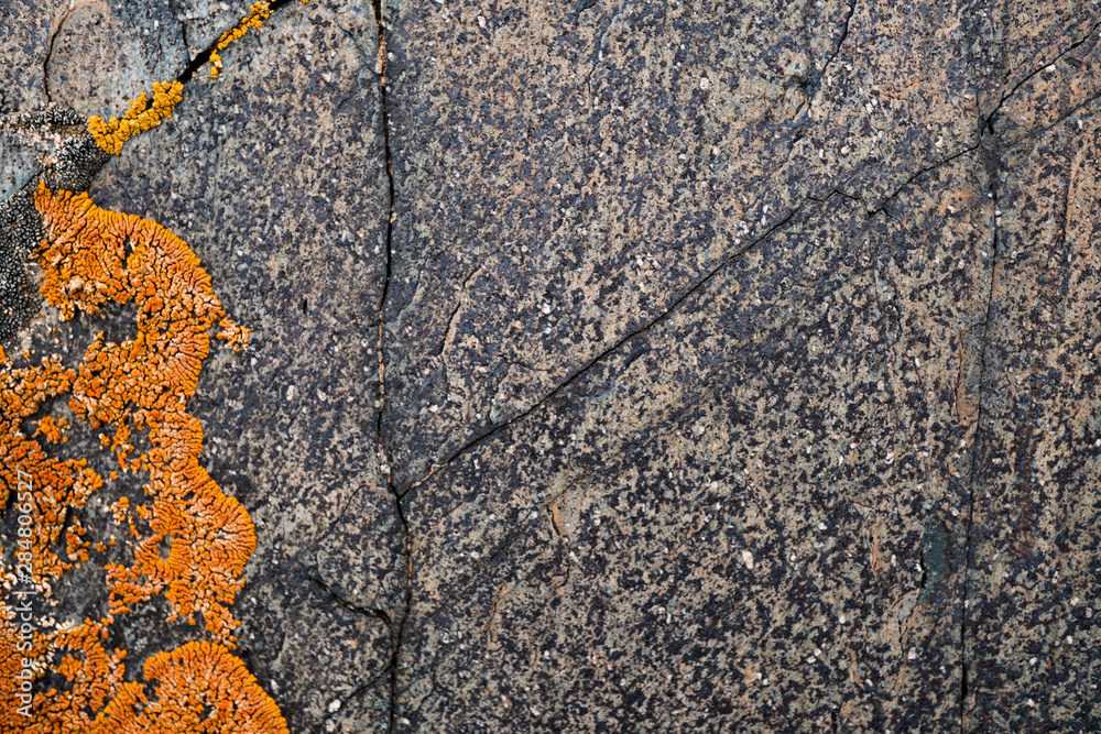 The texture of the stone overgrown with moss. Background image of a boulder The texture of the stone overgrown with moss. Background image of a boulder
