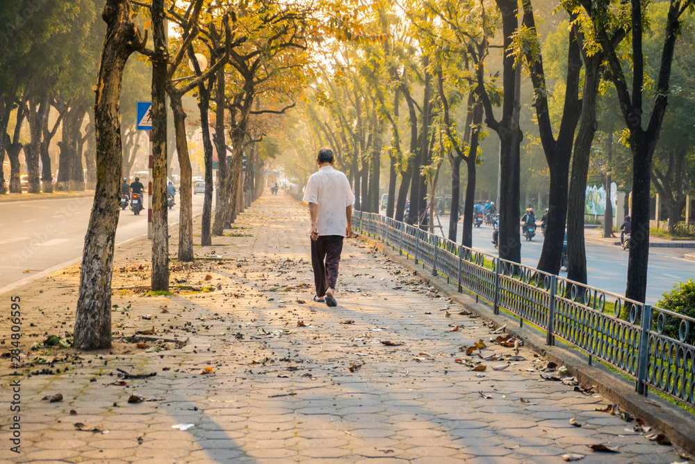 An elderly man is walking through sidewalk among trees in the early morning on Hanoi street