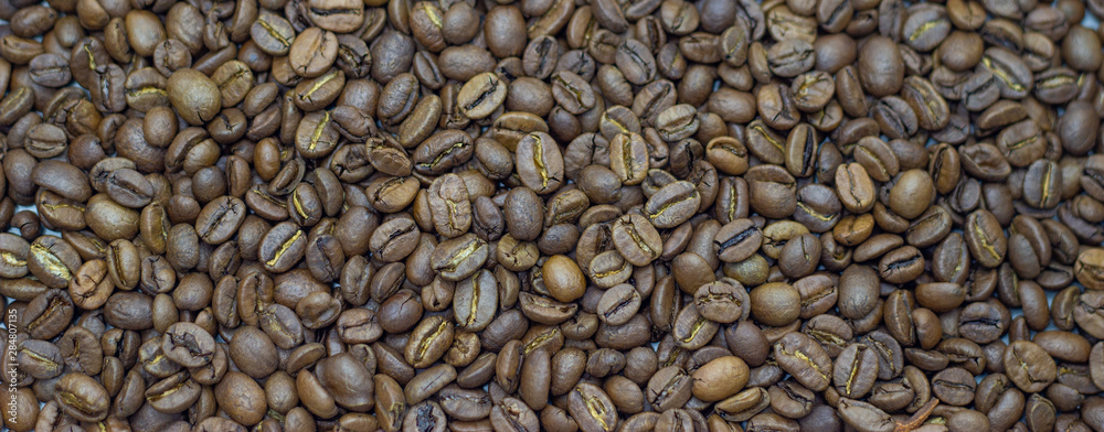 coffee beans on a white background place for text background coffee beans on a white background place for text background