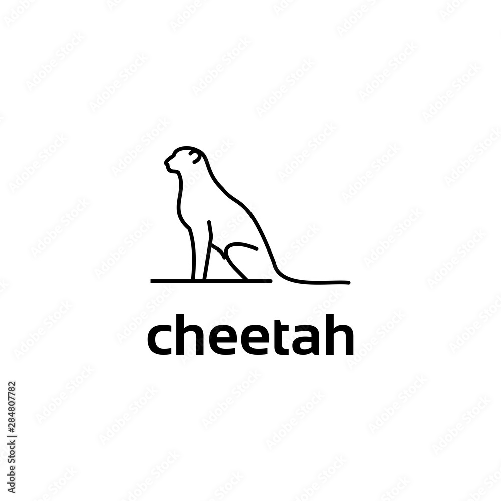 cheetah cheetah