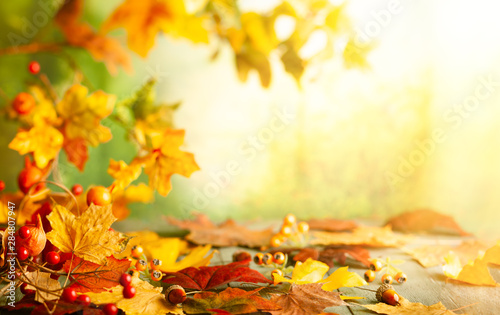 Thanksgiving or autumn scene with leaves and berries on wooden table.  Autumn background with falling leaves.