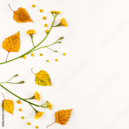 Autumn composition with autumn dried leaves and  flowers on white background. Flat lay  copy space.