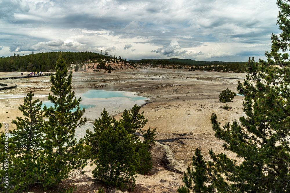 Yellowstone norris geyser