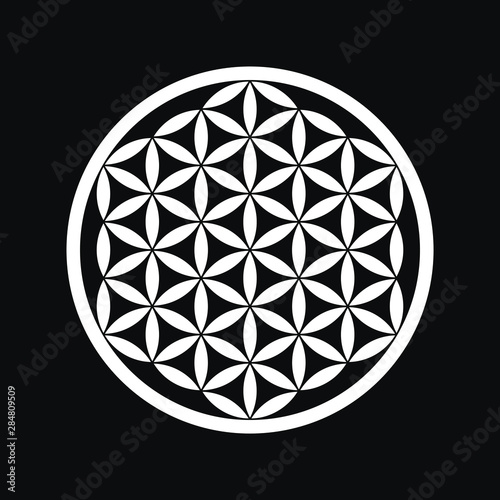 Flower Of Life Ancient Symbol