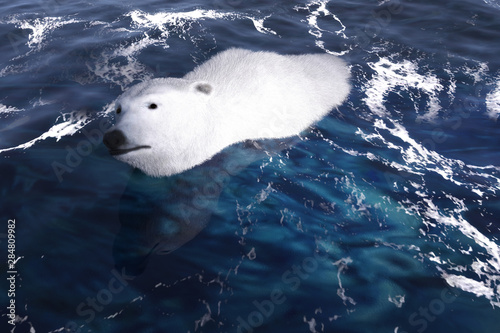 Digital 3D Illustration of a Polar Bear photo