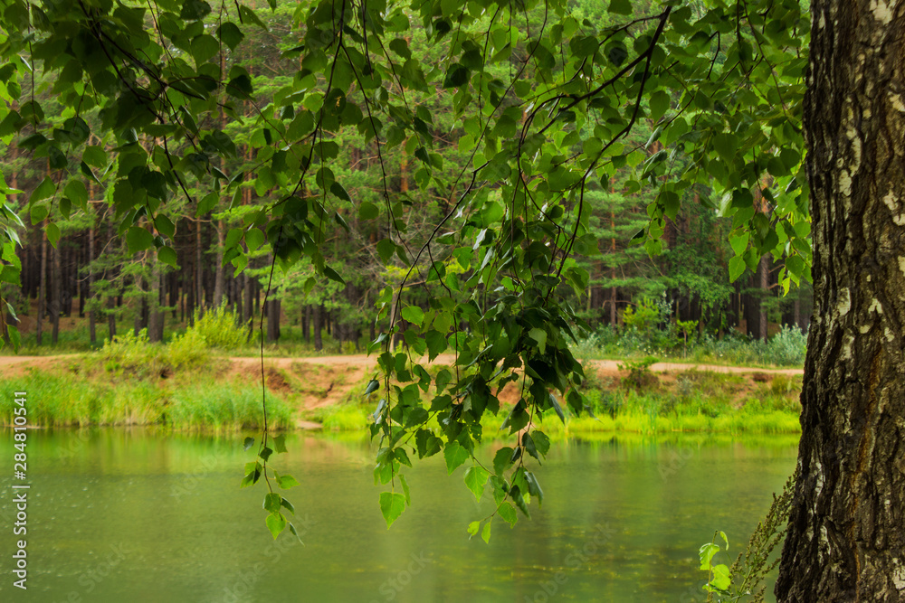 summer lake against the backdrop of a beautiful forest summer lake against the backdrop of a beautiful forest