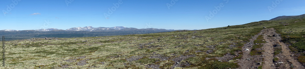 Fototapeta premium Track in park