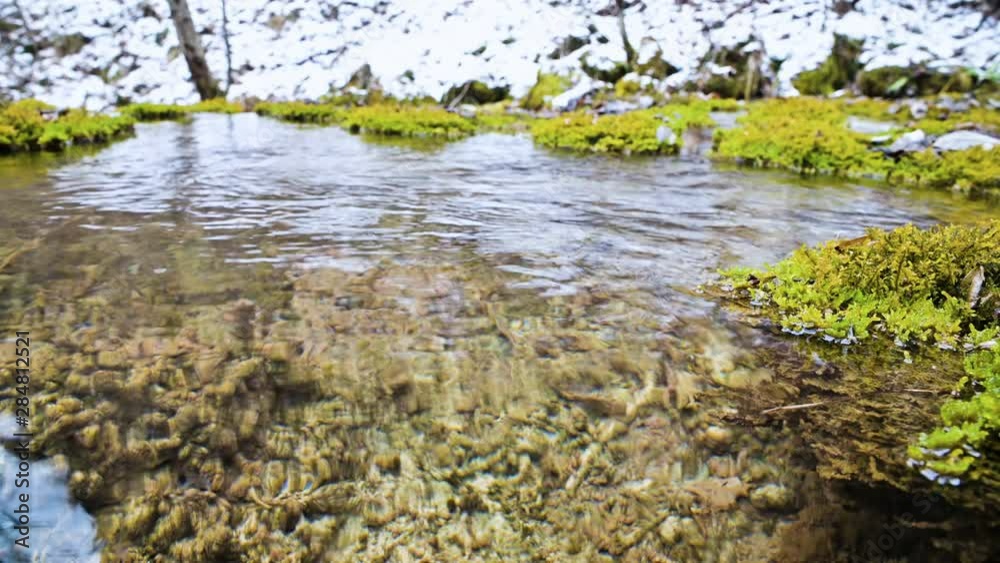 Close-up. A small mountain pond in winter with clear water, surrounded by logged moss and lichen. High Mineral Water Close-up. A small mountain pond in winter with clear water, surrounded by logged moss and lichen. High Mineral Water