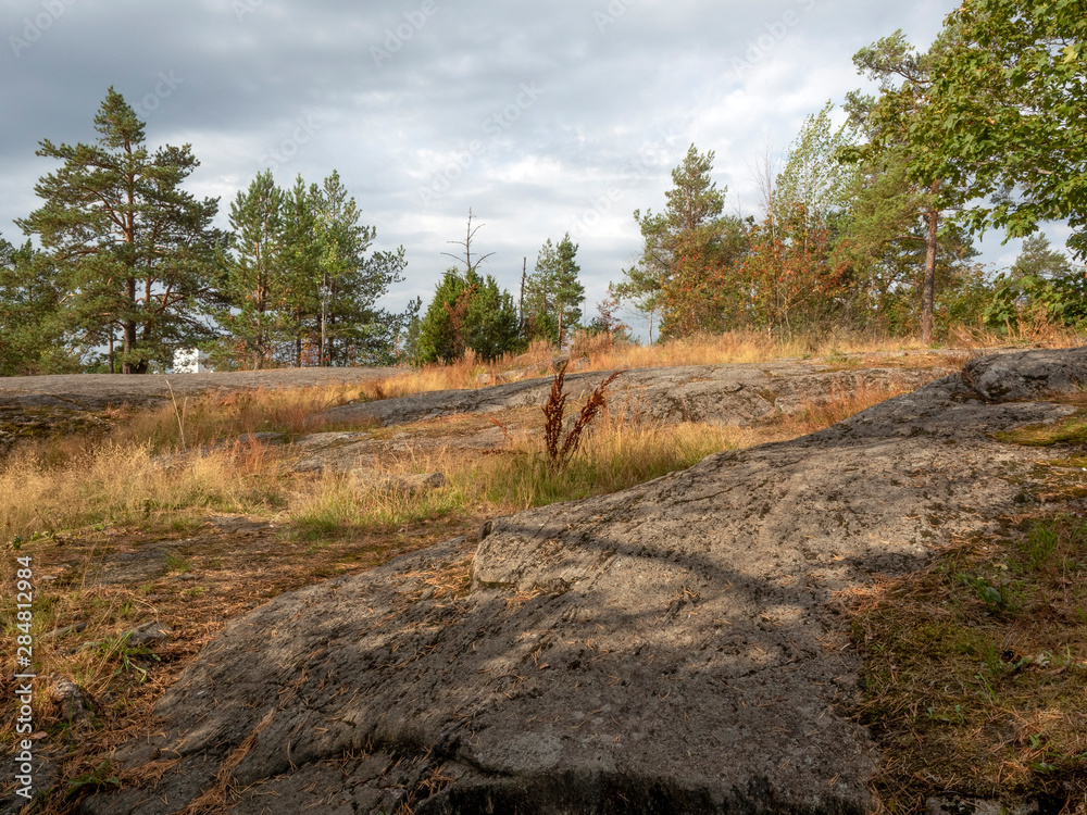 Scandinavian landscape. Trees grow in a rocky environment. Stony trail. Windy cloudy skies. Scandinavian landscape. Trees grow in a rocky environment. Stony trail. Windy cloudy skies.