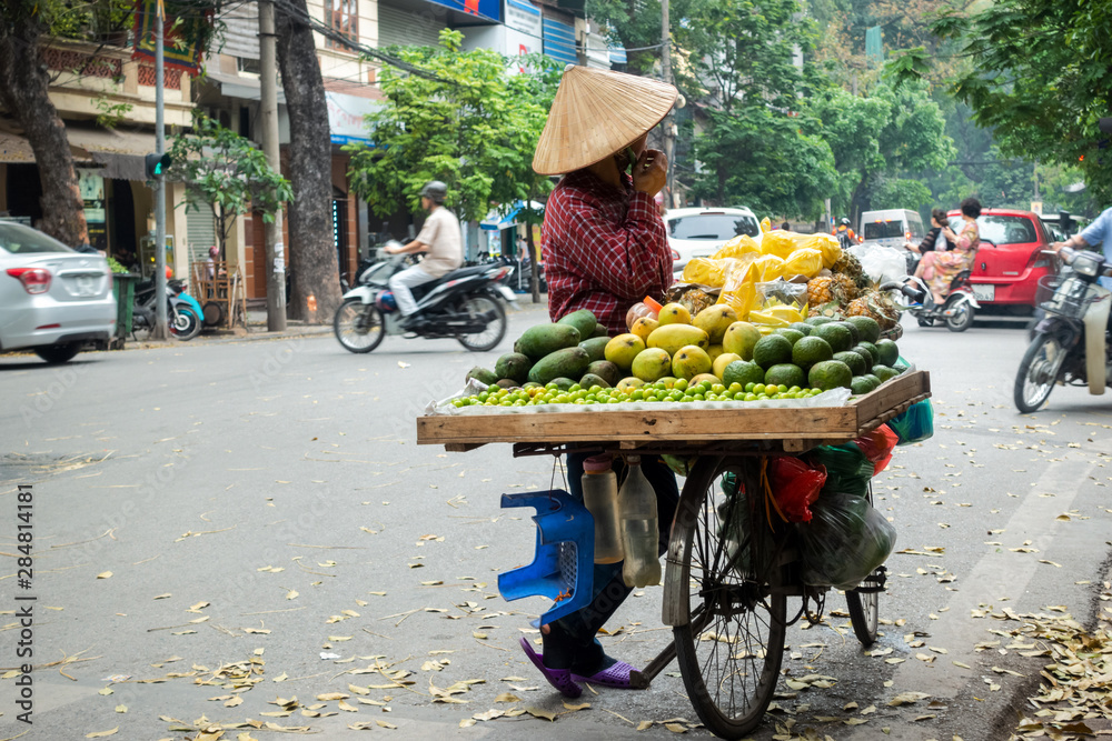 Vendor with bike of fruits on Hanoi street - obrazy, fototapety, plakaty 