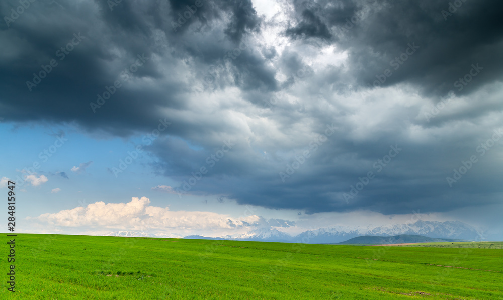 mountain panorama in spring