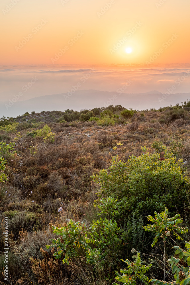 Beautiful colorful sunset over the mountain range and pine tree forest. Nature landscape. fogy sky with some orange reflections. Beautiful colorful sunset over the mountain range and pine tree forest. Nature landscape. fogy sky with some orange reflections.