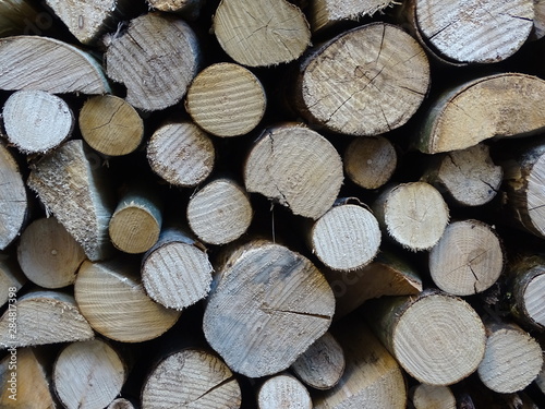 holzhaufen