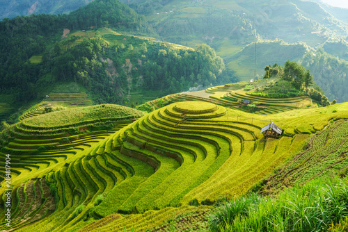 Terraced rice field in harvest season in Mu Cang Chai, Vietnam Fototapet