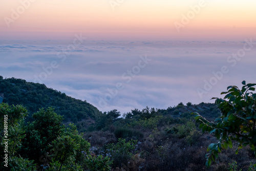 Beautiful colorful sunset over the mountain range and pine tree forest. Nature landscape. fogy sky with some orange reflections. © Edds