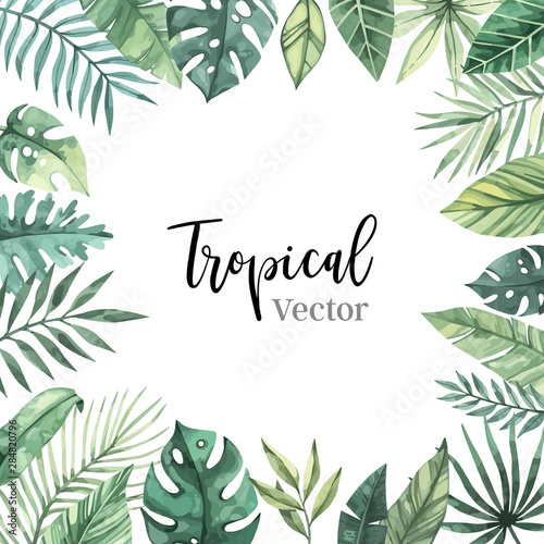 Watercolor vector illustration. Summer tropical frame with banana leaves, monstera and palm leaves. Perfect for wedding invitations, prints, postcards, posters