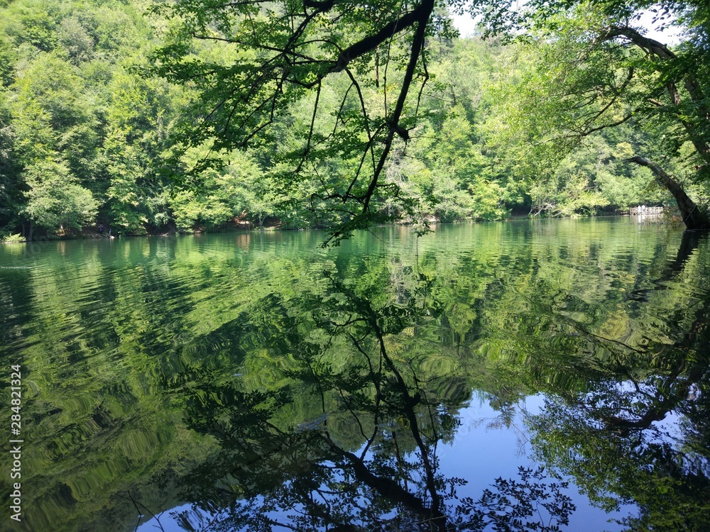 Fototapeta premium lake in the forest 