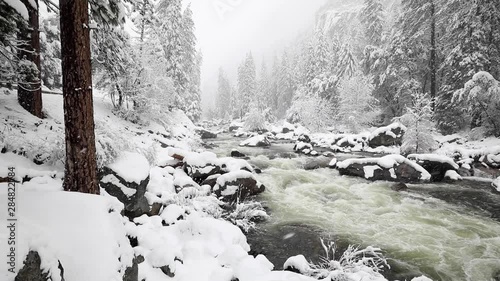 A snowy winter landscape in Yosemite National Park