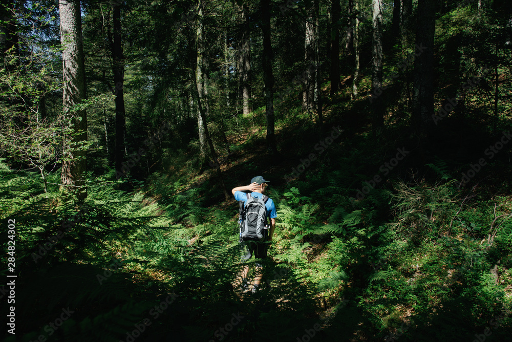 Hiker With A Backpack Standing In A Forest