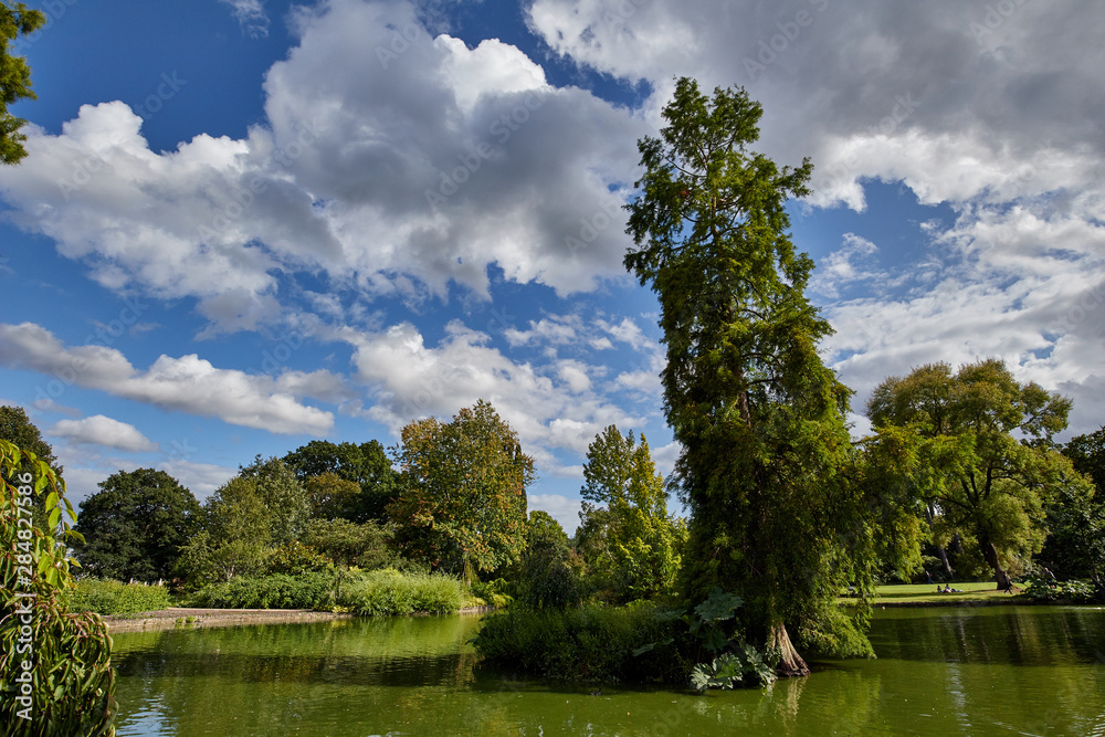 Tranquil scene of a lake and trees on a bright summer’s day. Tranquil scene of a lake and trees on a bright summer’s day.