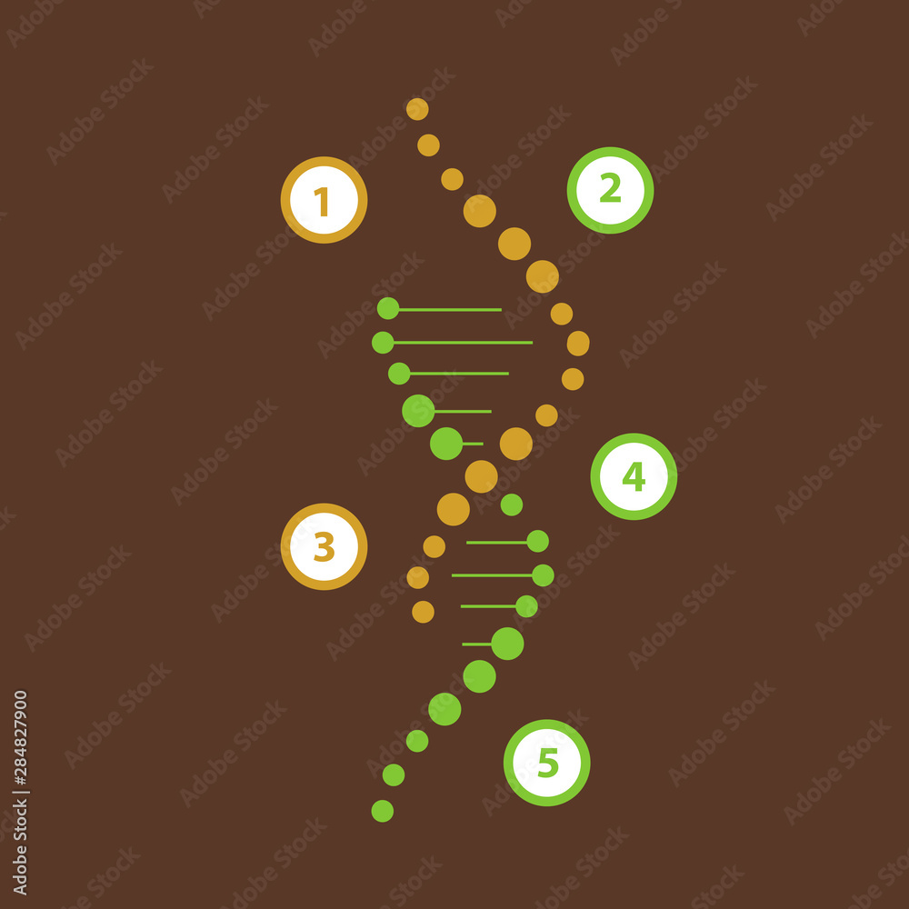 Fototapeta premium Science template, wallpaper or banner with a DNA molecules. Vector illustration.