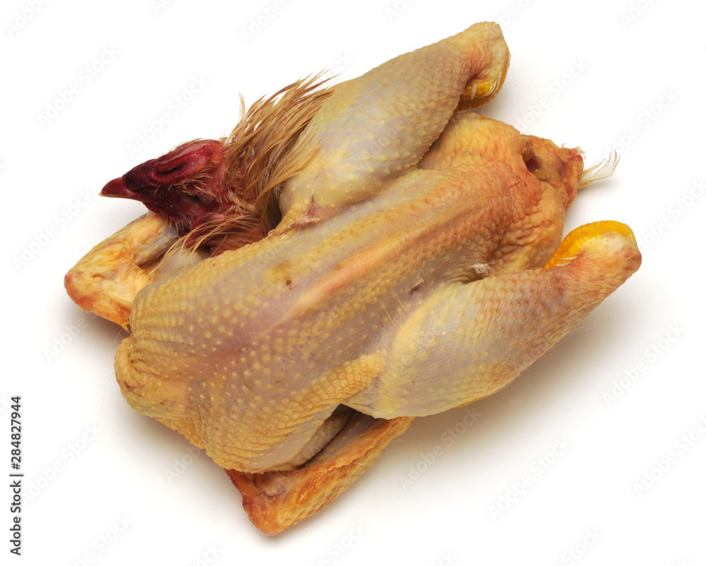 Pollo Pollo