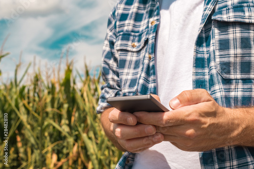 Fotografie Agronomist typing text message on smartphone out in corn field