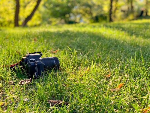 Camera on the green grass