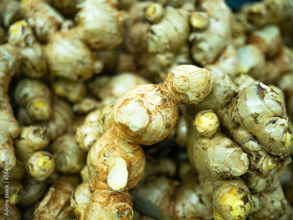 Bunch of fresh yellow gingers for sale in the market top view Bunch of fresh yellow gingers for sale in the market top view