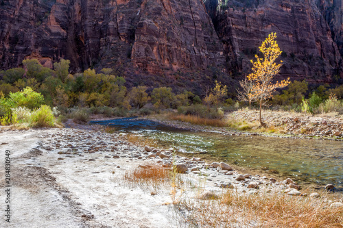 Virgin River running through Zion National Park Utah photo