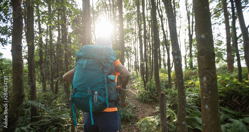 Woman backpacker hiking in summer rainforest mountain