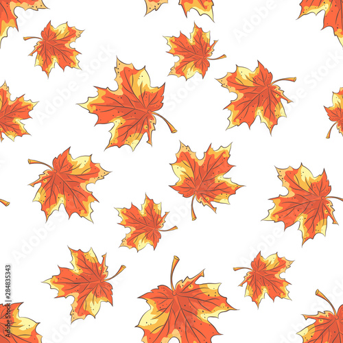 Seamless pattern with hand drawn autumn leaves on white background