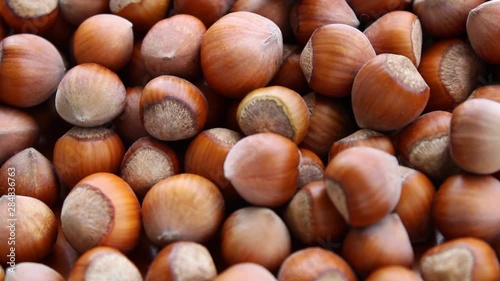 hazelnuts fresh harvested, close up view, fruits in summer