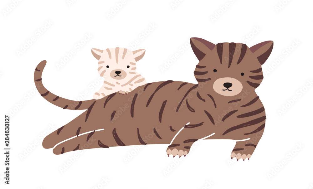 Fototapeta premium Cat with cub isolated on white background
