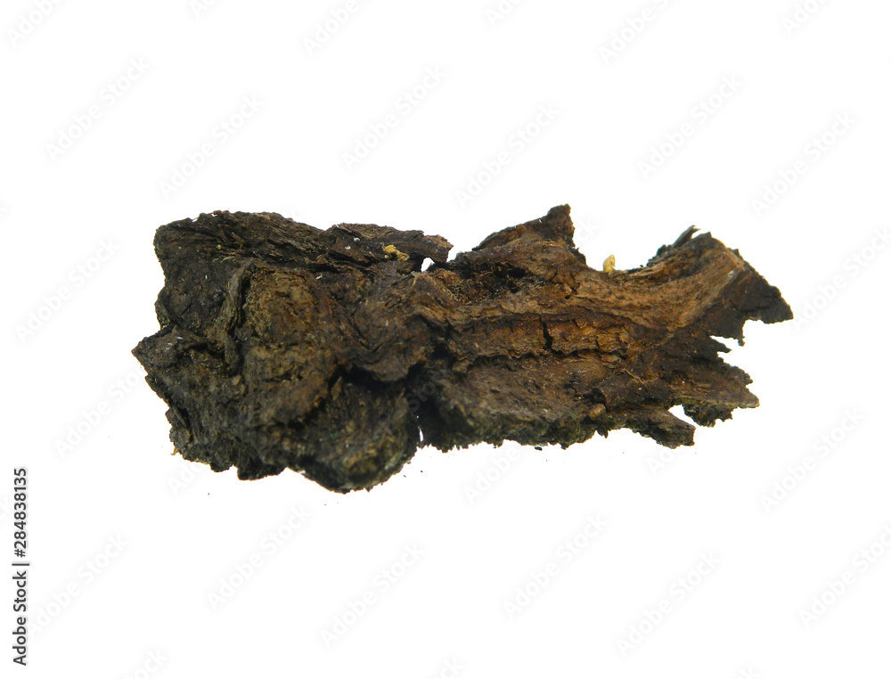 tree bark isolated on white background tree bark isolated on white background