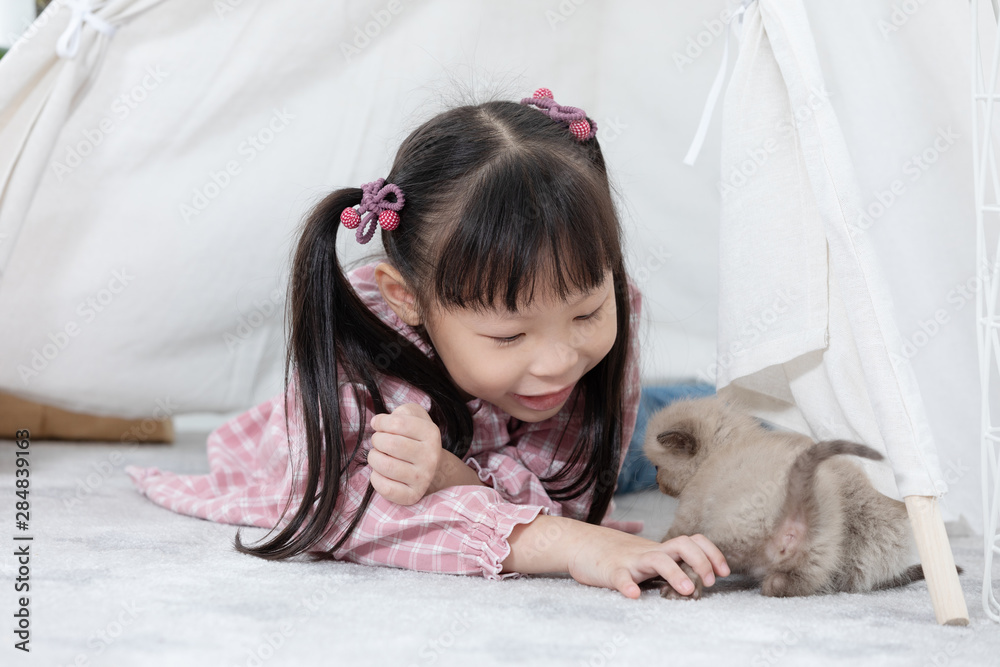 Little girl playing with cat at home, friend ship concept. Little girl playing with cat at home, friend ship concept.