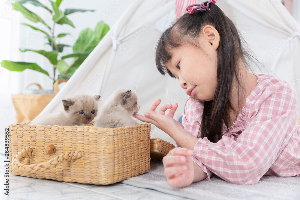 Little girl playing with cat at home, friend ship concept. Little girl playing with cat at home, friend ship concept.