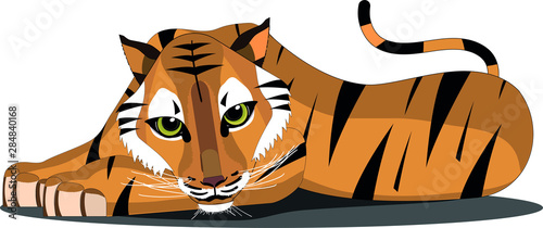 Cute Tiger with big eyes, lying down and swishing tail
