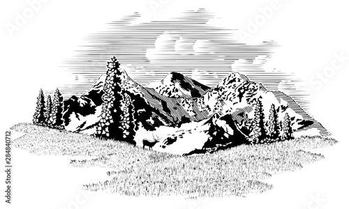 Mountain Elk Scene