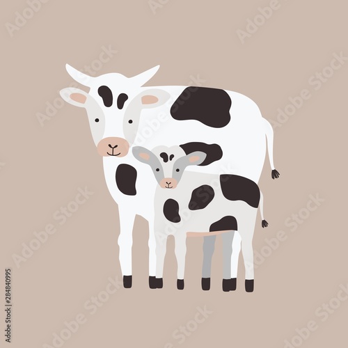 Cow with calf isolated on white background. Family of funny domestic herbivorous animals, cattle or livestock. Cute parent with child, mother and baby. Flat cartoon childish vector illustration.