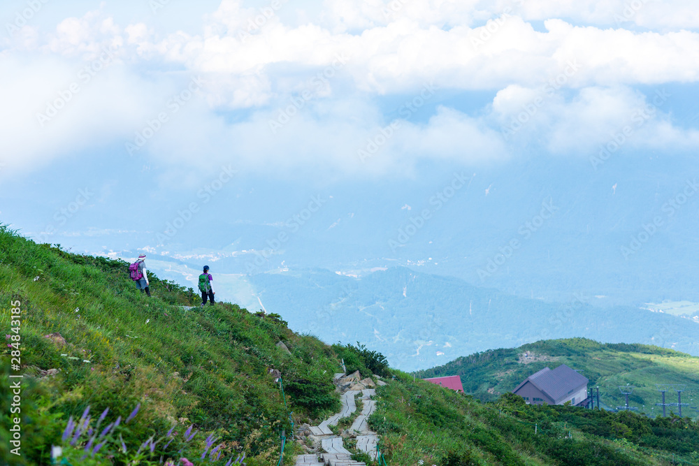 Fototapeta premium 登山道 林道 尾瀬 八方尾根 登山道 木道 女性