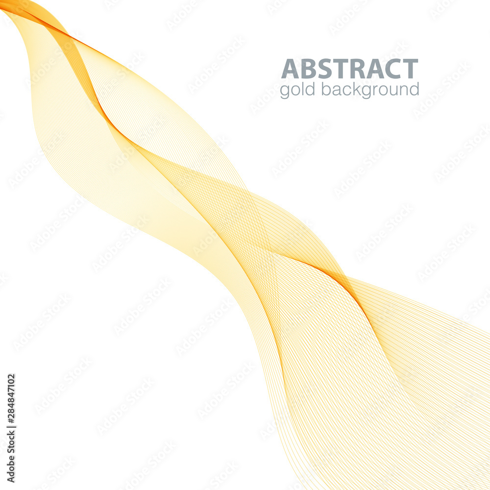 Abstract waves on the white background. Transparent lines Abstract waves on the white background. Transparent lines